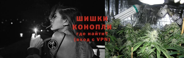 дживик Вязьма