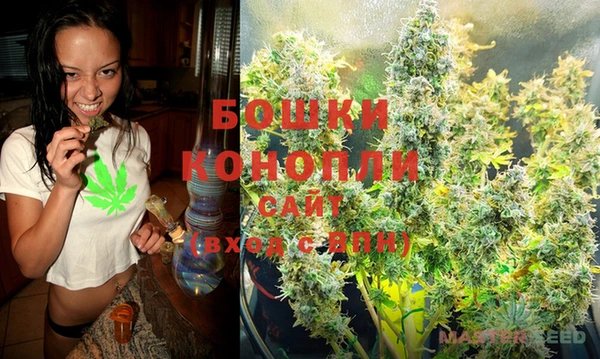 дживик Вязьма