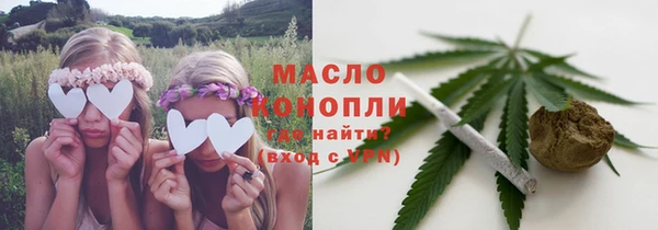 индика Вяземский