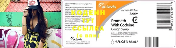 индика Вяземский