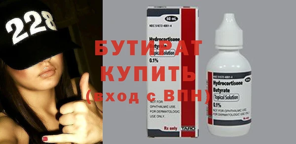 индика Вяземский