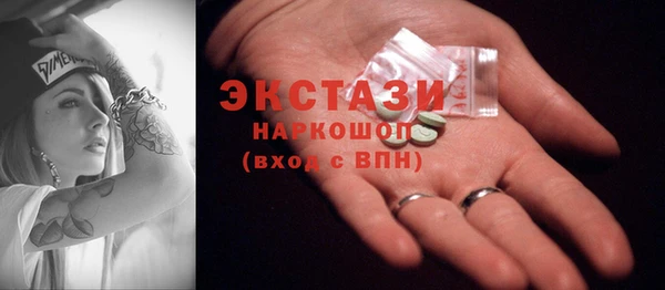 индика Вяземский