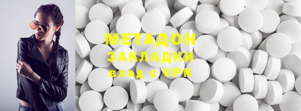 индика Вяземский