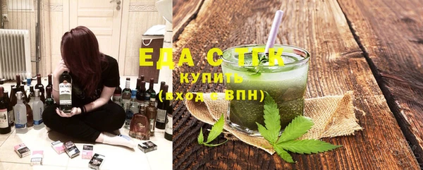 индика Вяземский