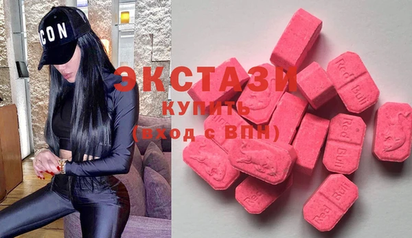 индика Вяземский