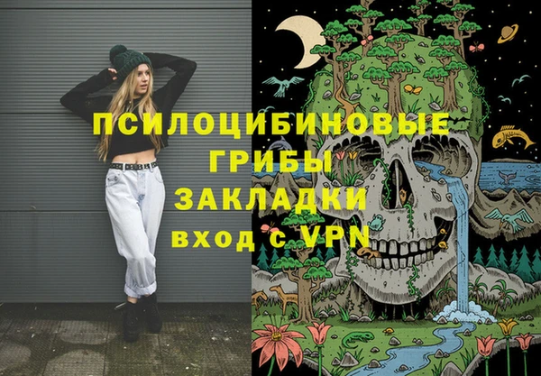 индика Вяземский