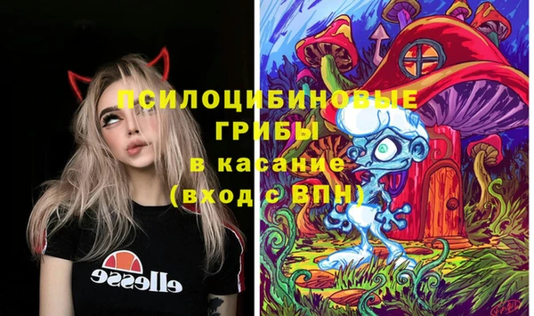дживик Вязьма