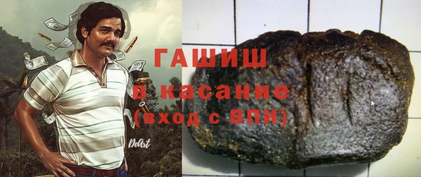 индика Вяземский