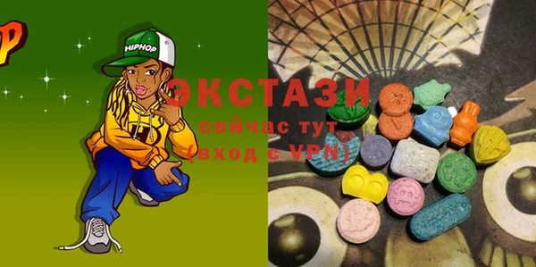 индика Вяземский
