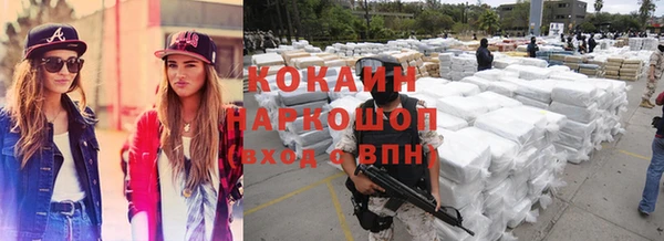 индика Вяземский