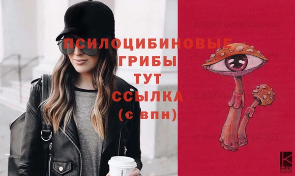 индика Вяземский