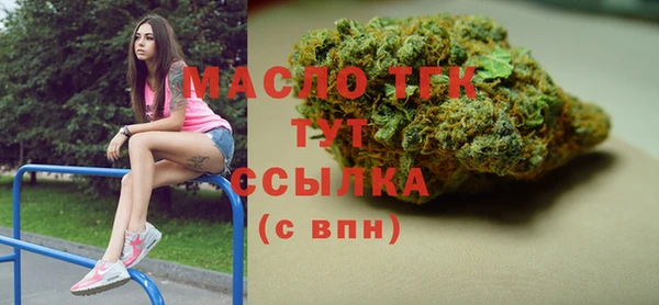 индика Вяземский