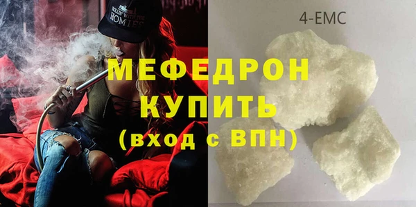индика Вяземский