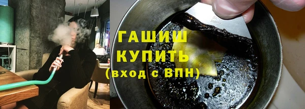 индика Вяземский
