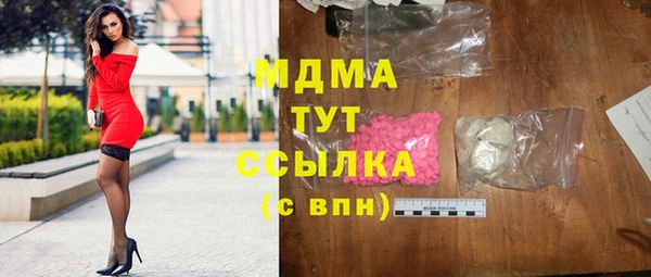 индика Вяземский