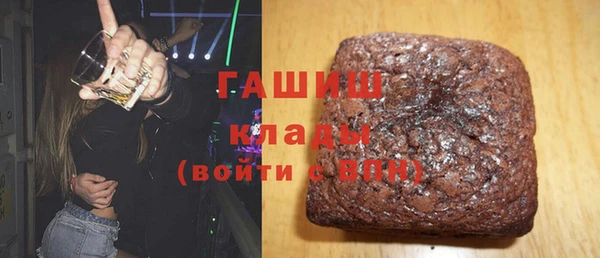 индика Вяземский