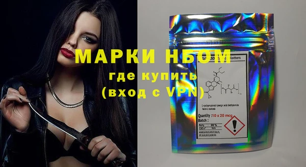 индика Вяземский
